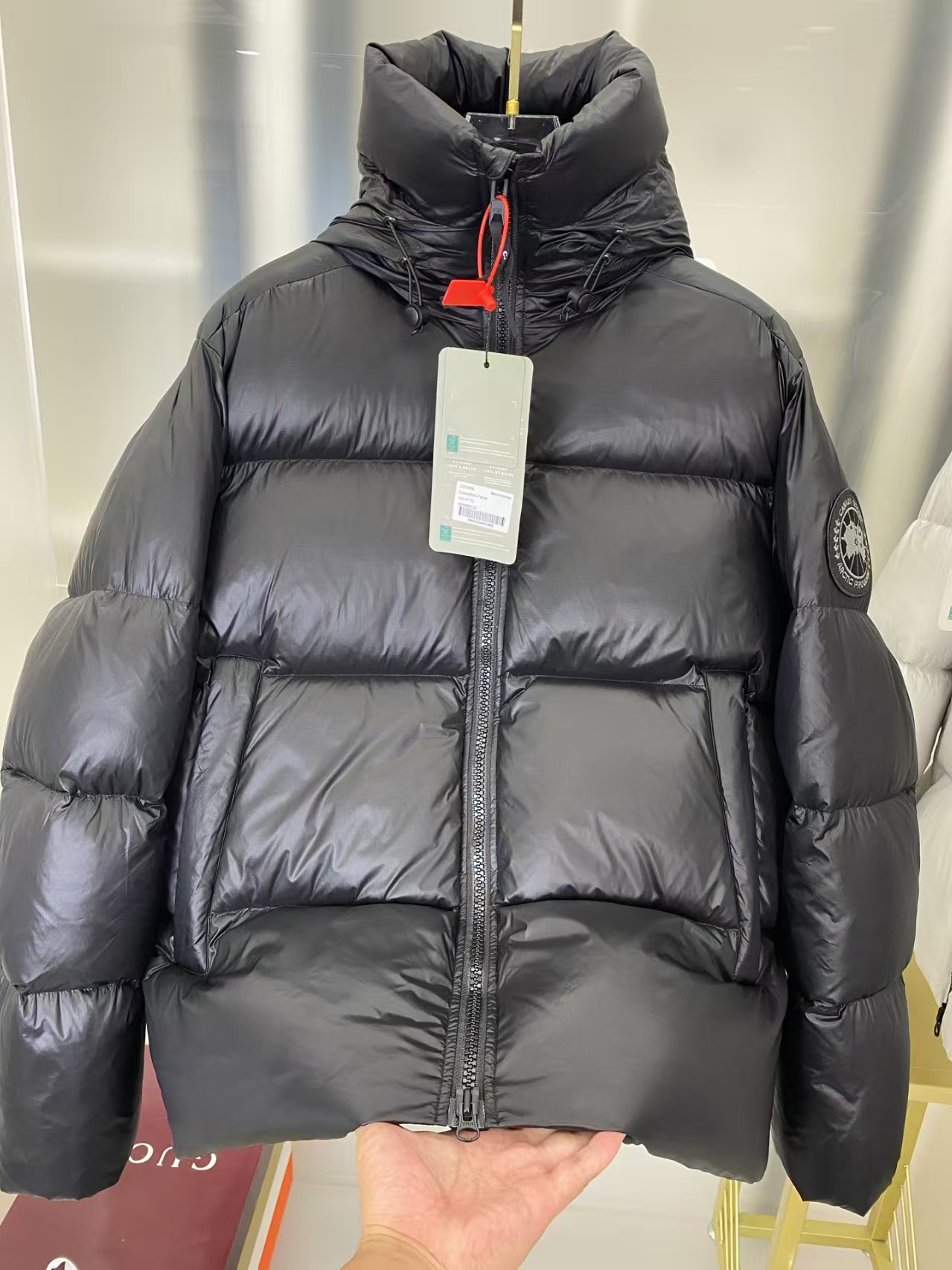 e1464e69cdc6bce7b904c8fc2f398f4f_1759313203_2393.jpg e1464e69cdc6bce7b904c8fc2f398f4f_1759313203_2393.jpg