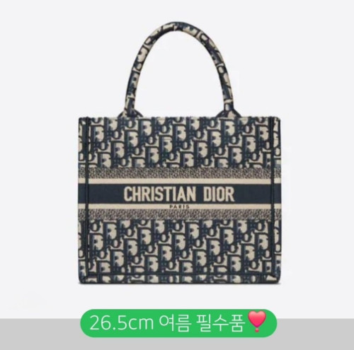 디올 북토트 스몰