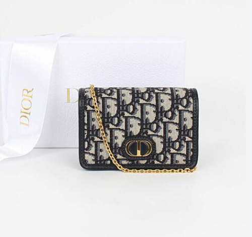 디올 30 몽테인 나노 파우치 블루 디올 오블리크 자카드