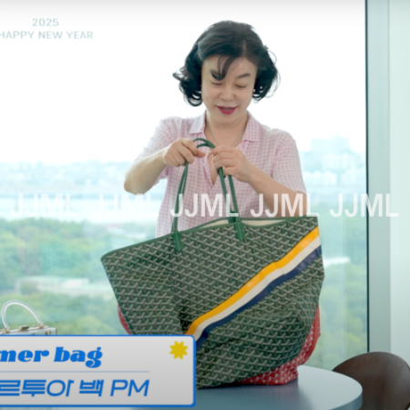 [최화정 PICK] 고야드 아르투아 백 PM