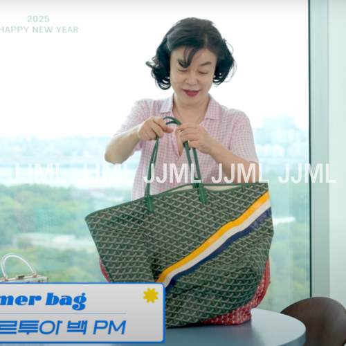 [최화정 PICK] 고야드 아르투아 백 PM